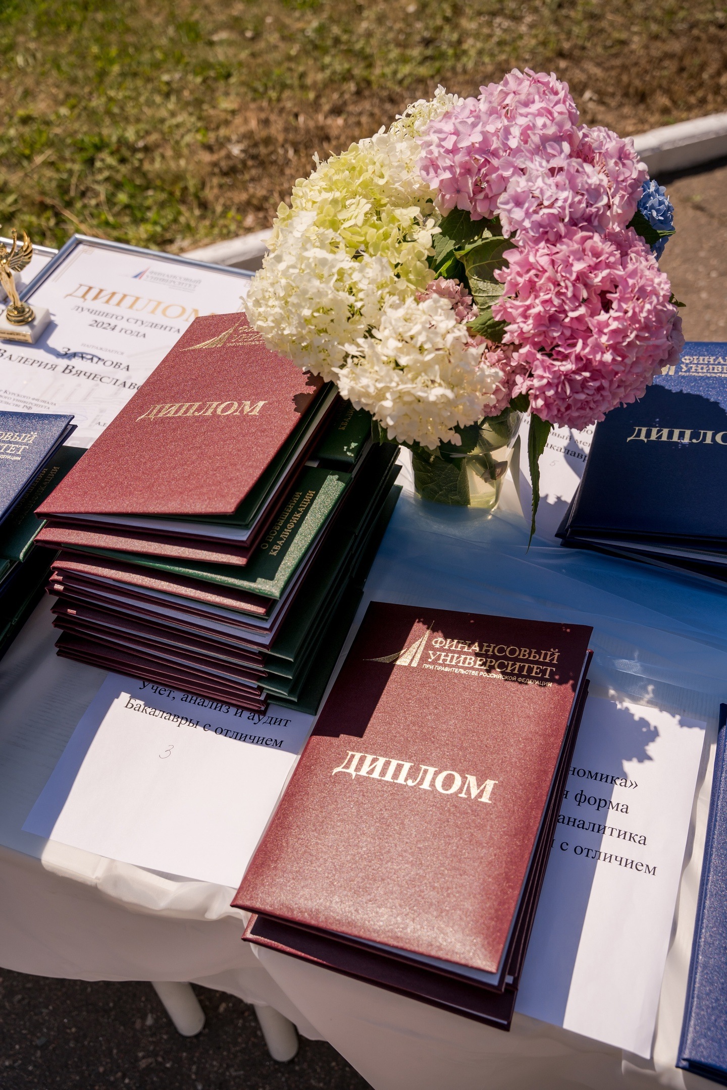 Выпускникам