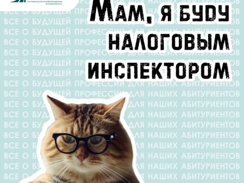 Кто такой налоговый инспектор?